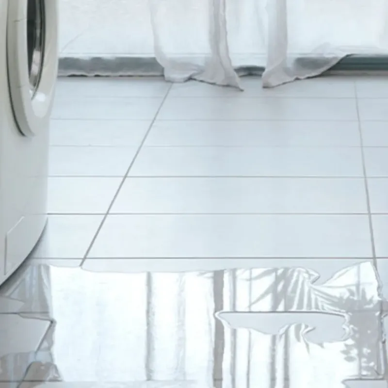 Appliance Leak Cleanup in Johnson, KS