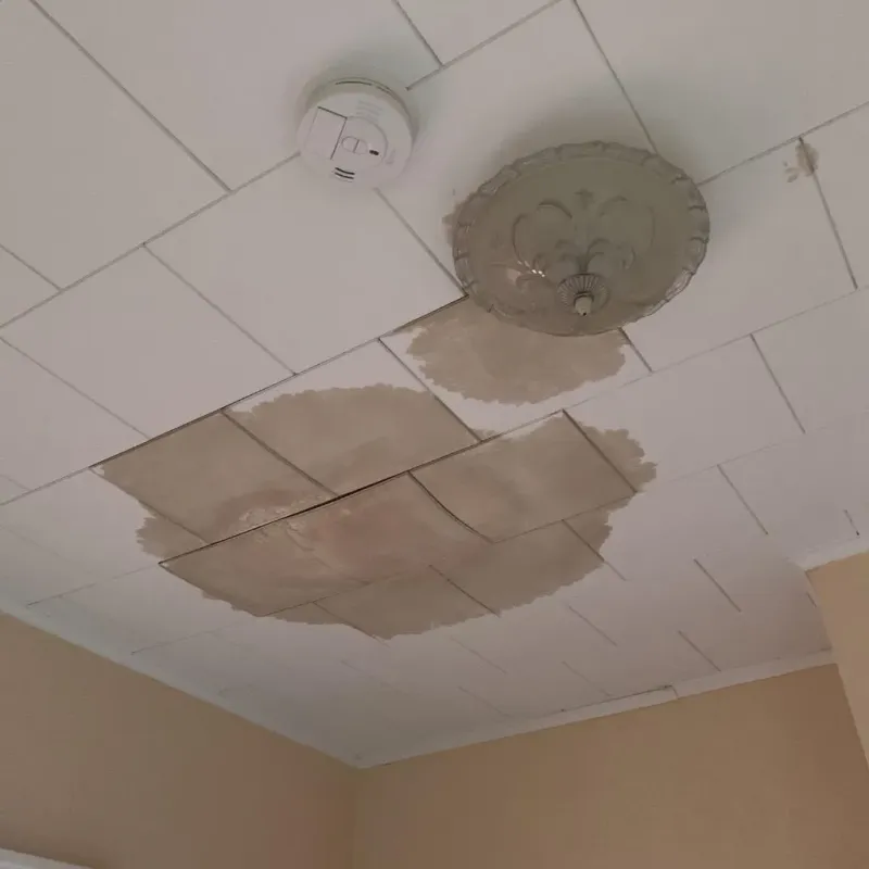 Ceiling Water Damage Repair in Johnson, KS
