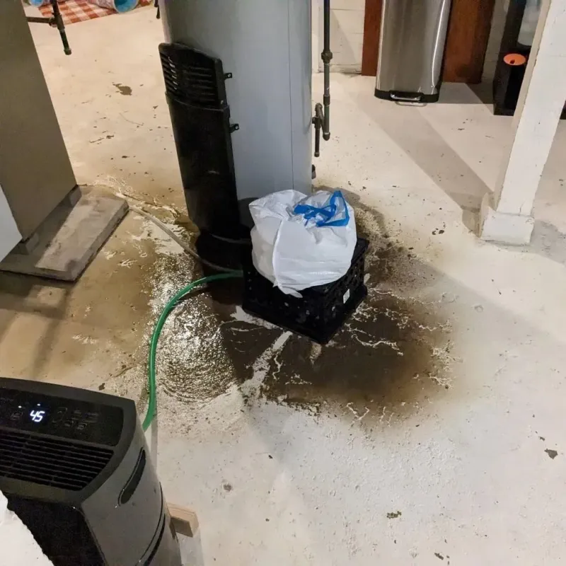 Sewage Backup Cleanup Service in Johnson, KS